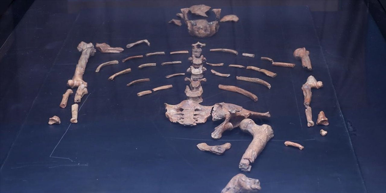 Modern insana ait en eski fosil bilinenden 33 bin yıl daha eski