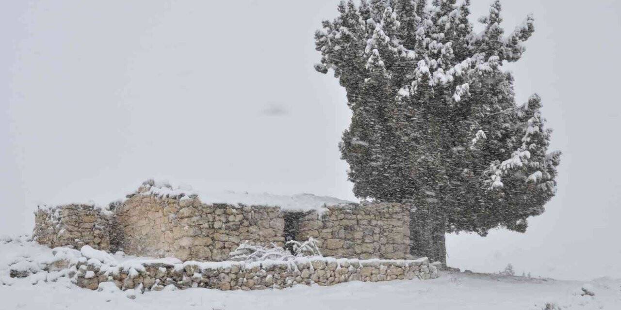 Mersinli çiftçilerin "kar" sevinci