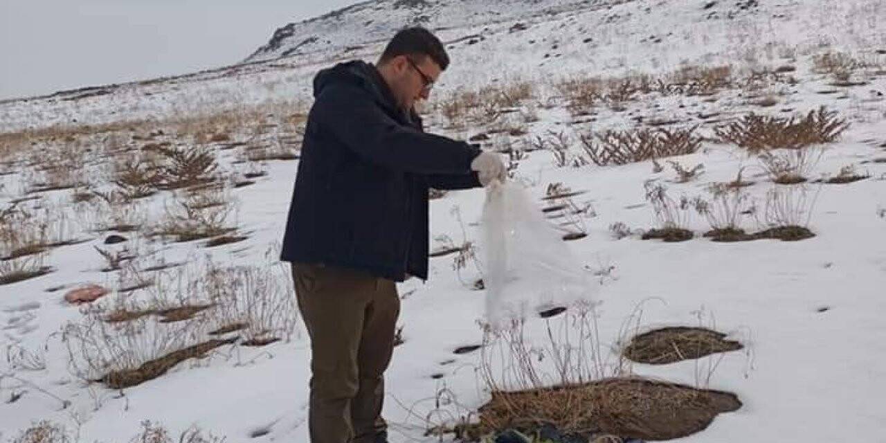 Ağrı Dağı eteklerine yaban hayvanları için yem bırakıldı