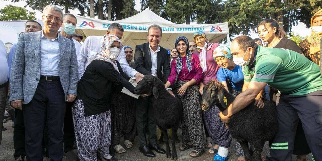 Büyükşehir tarım ve hayvancılıkta üreticinin destekçisi oldu
