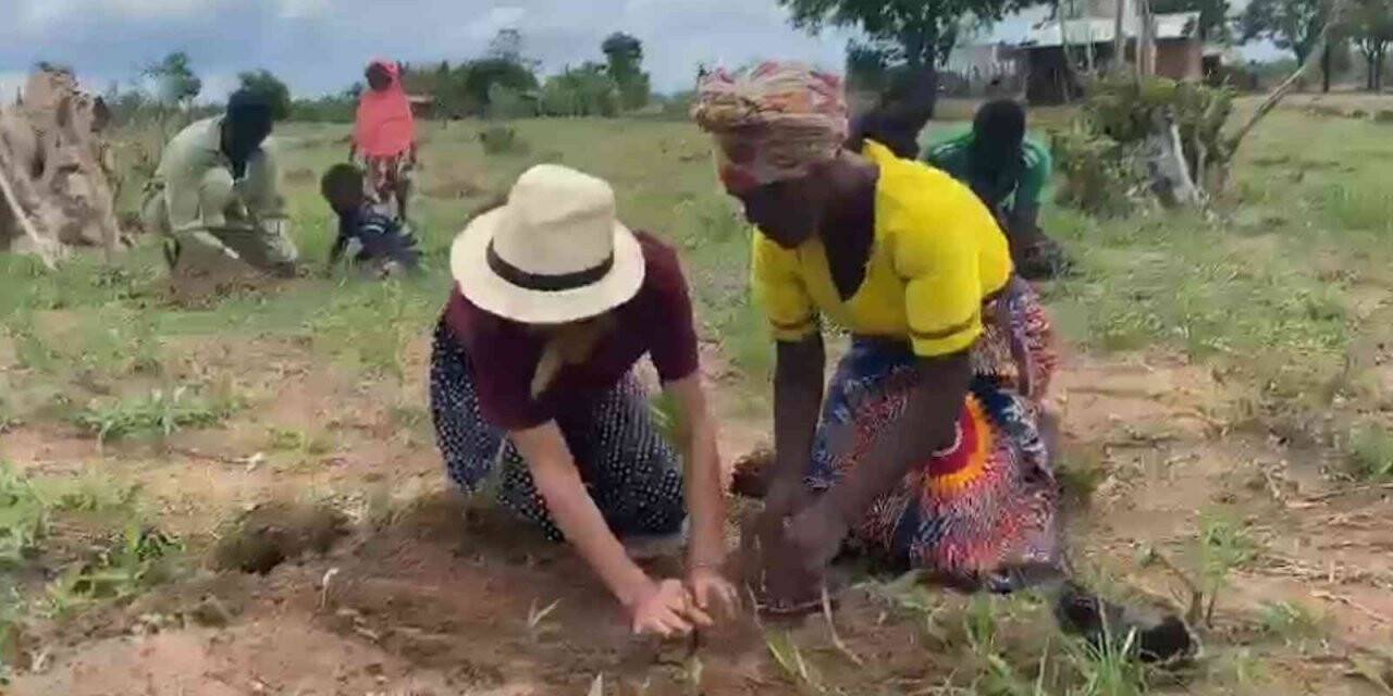 Afrika’daki engelliler için meyve bahçesi oluşturuldu