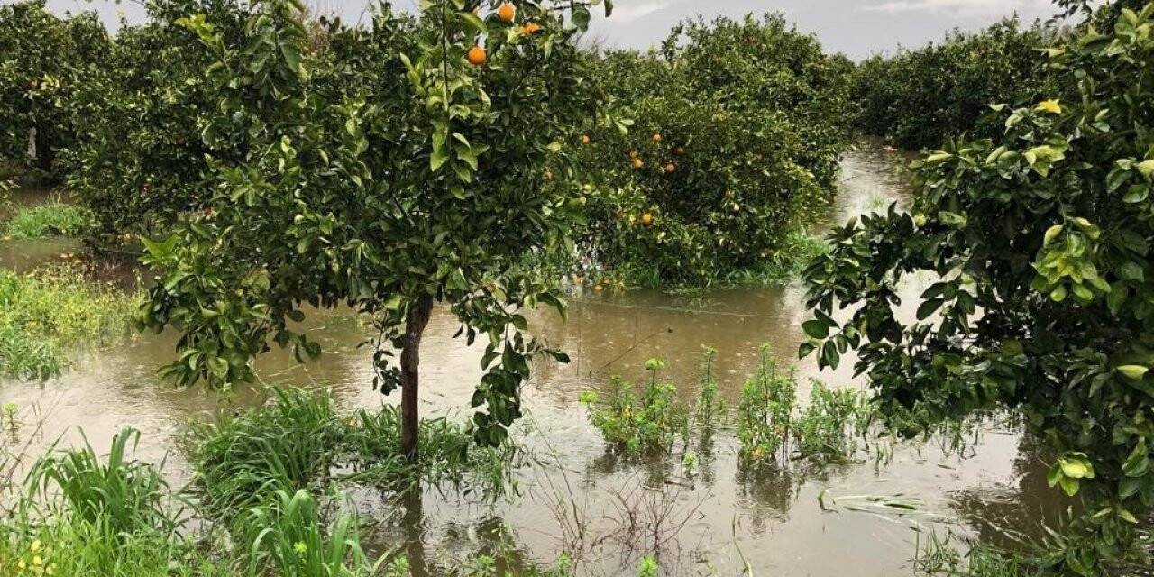 Köyceğiz’de aşırı yağışların meydana getirdiği zararlarla ilgili ön inceleme başlatıldı
