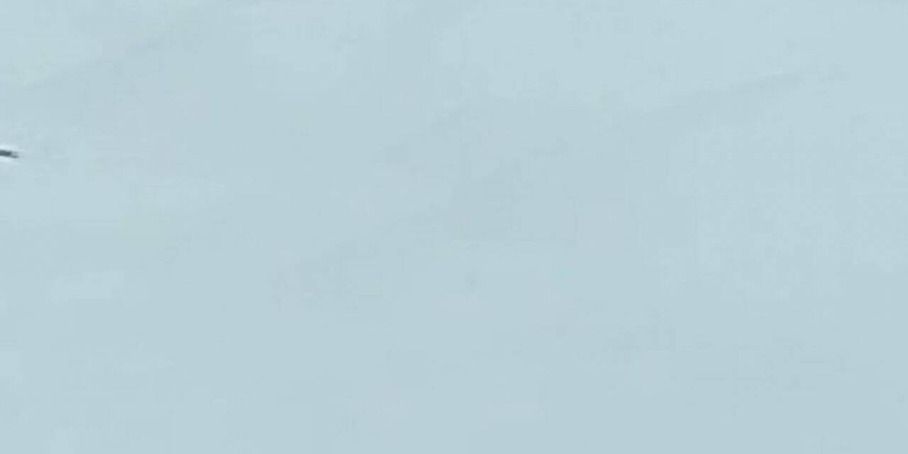 Tunceli’de karlar arasındaki beyaz gelincik cep telefonu kamerasına takıldı