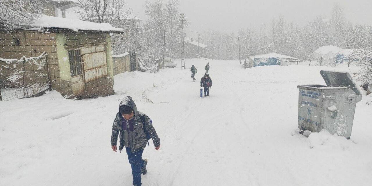 Gevaş’ta kar tatili