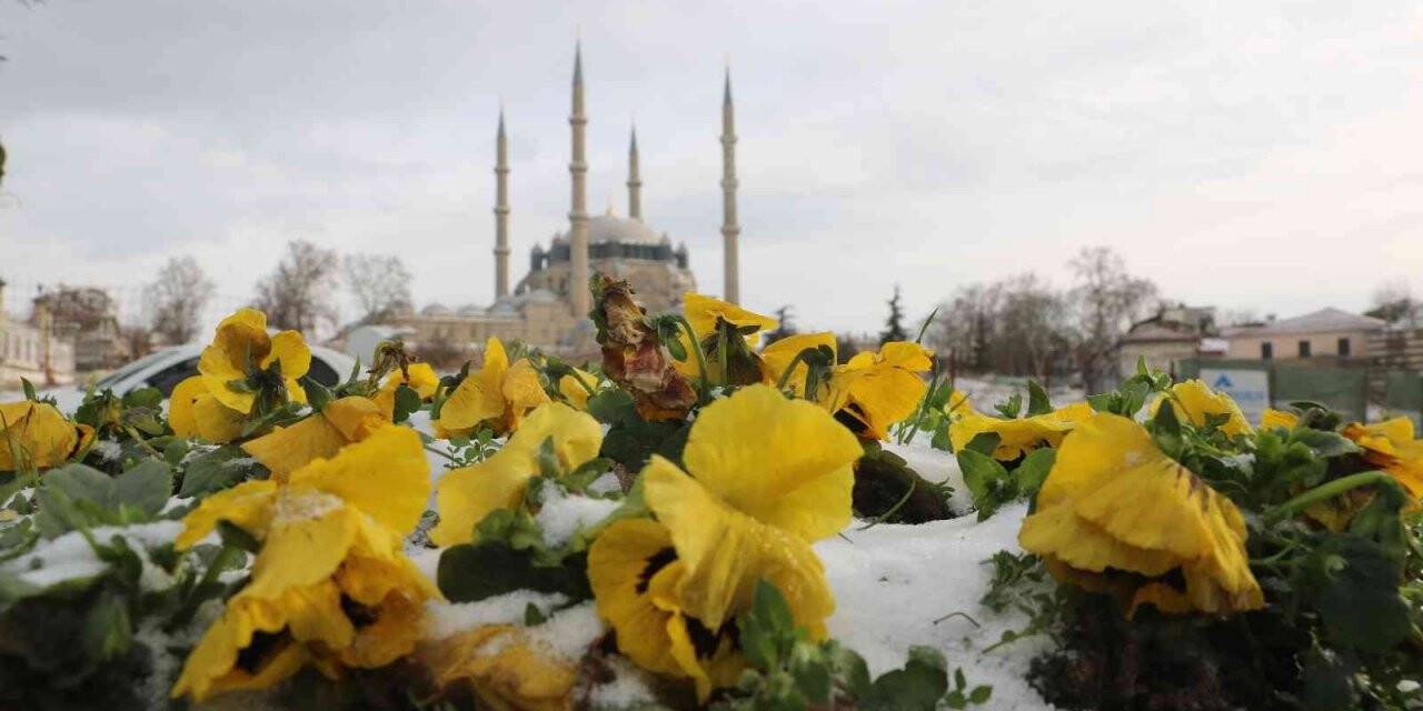 Edirne’de nehirler, yollar ve süs havuzları buz tuttu