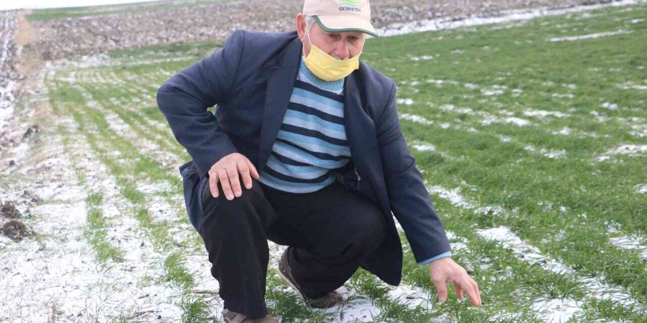 Edirneli çiftçilerin yüzü yağan karla güldü