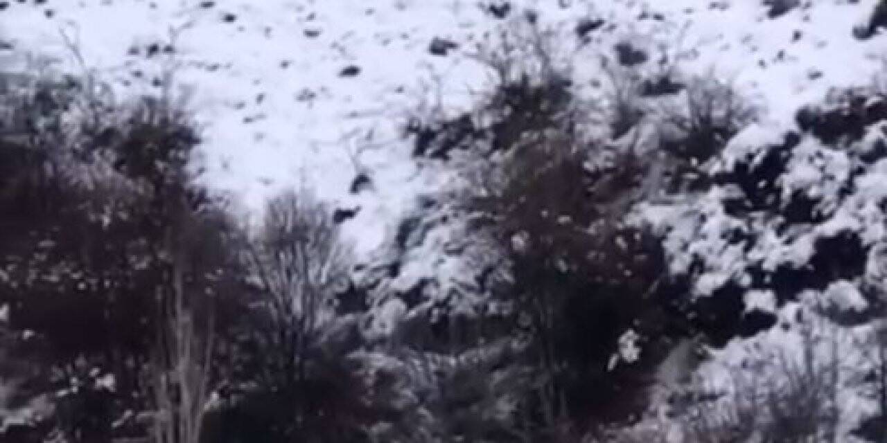 Antalya’da avcı domuzun darbesi ile ölümden döndü