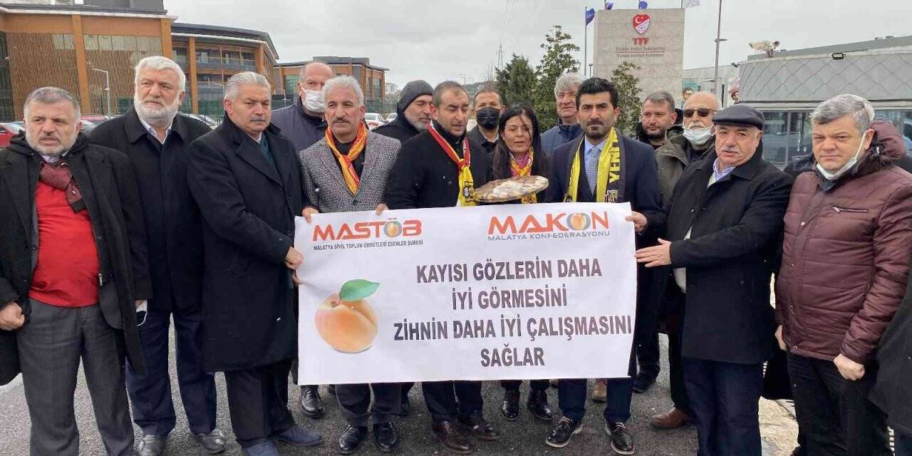 Yeni Malatyaspor’un avukatlarından TFF’ye kayısılı tepki