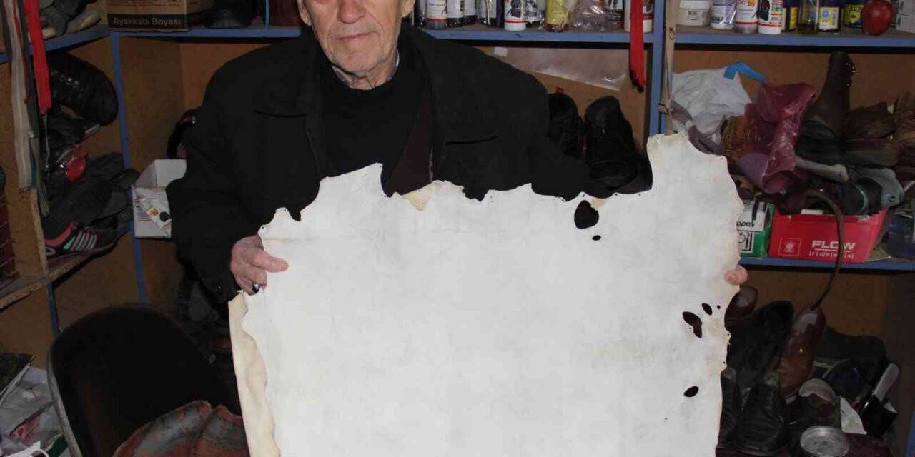 Son karatabak, Erdoğan’dan ödül alacağı için sabaha kadar uyuyamamış