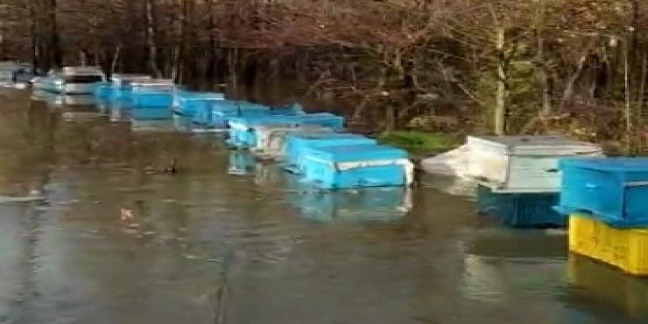 Ortaca’da arı kovanları sular altında kaldı