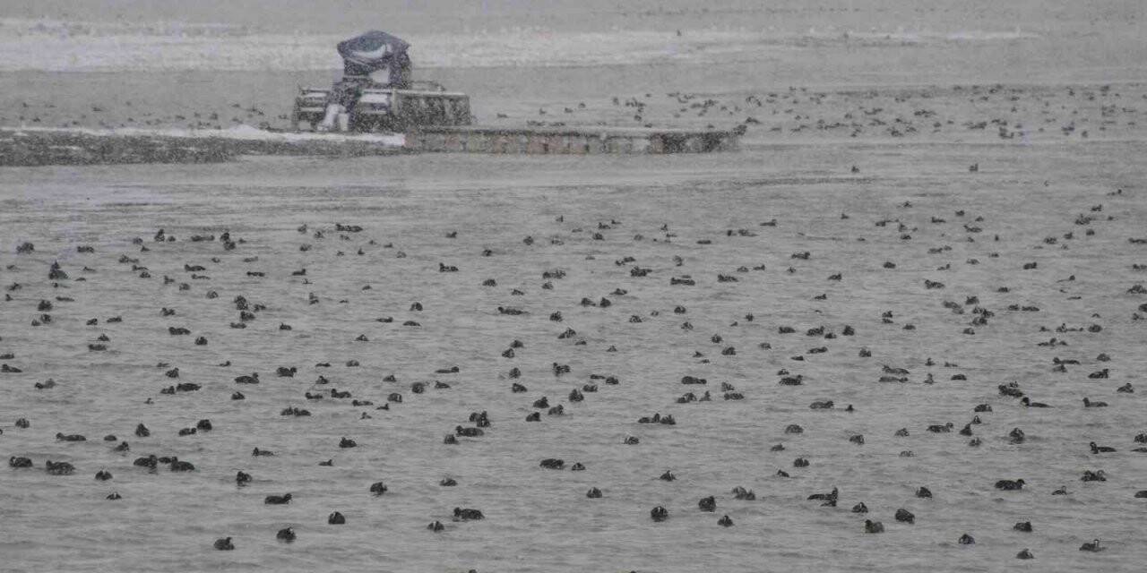 Beyşehir Gölü’nde kar yağışı hayatı olumsuz etkiliyor