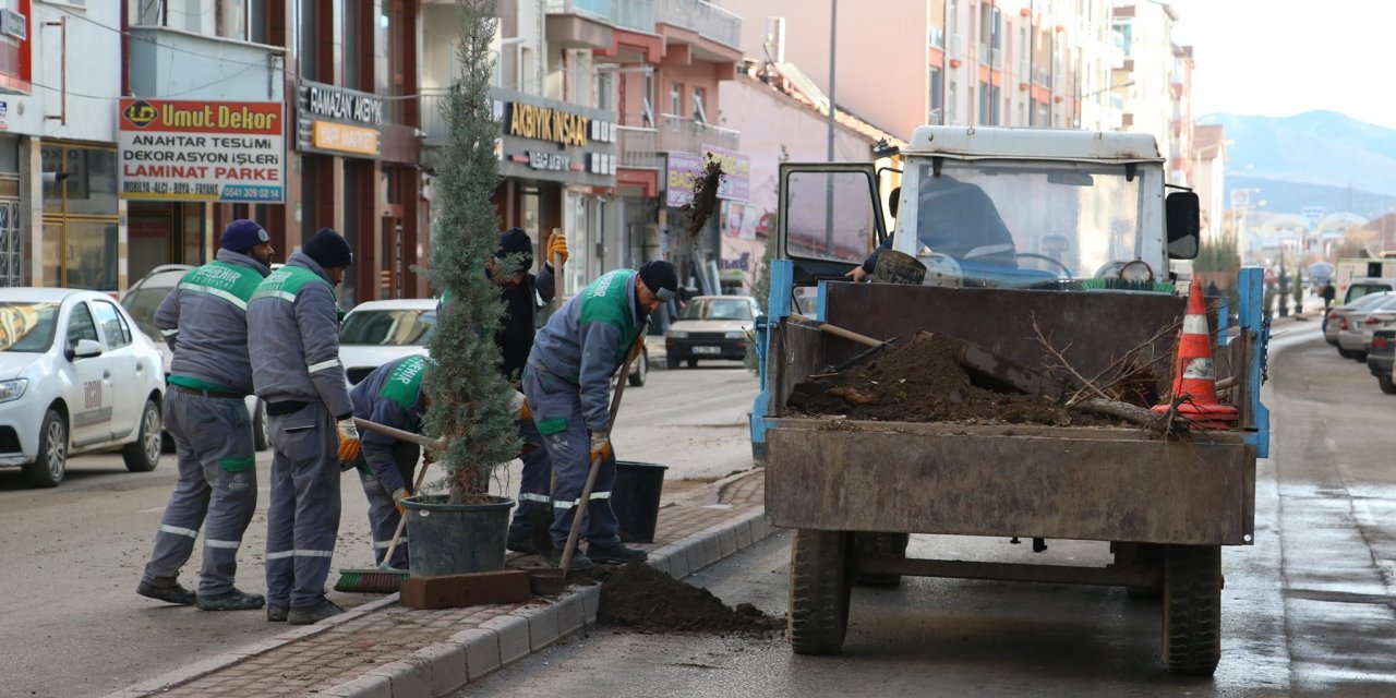 Beyşehir'de belediye ekiplerinin ağaçlandırma çalışmaları sürüyor