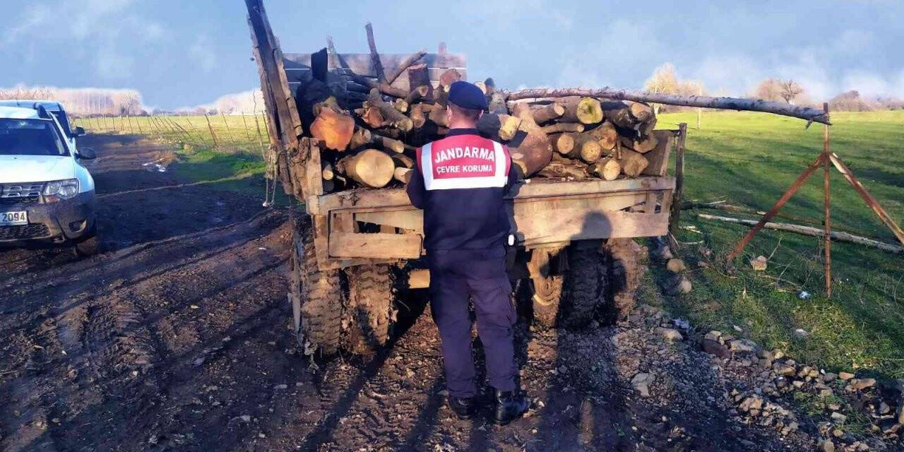 Kaçak orman emvaline jandarmadan geçit yok