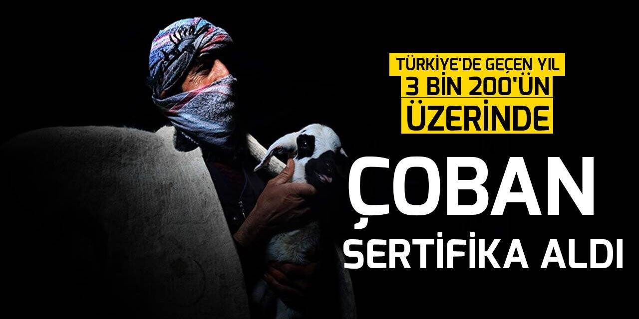 Türkiye'de geçen yıl 3 bin 200'ün üzerinde çoban sertifika aldı