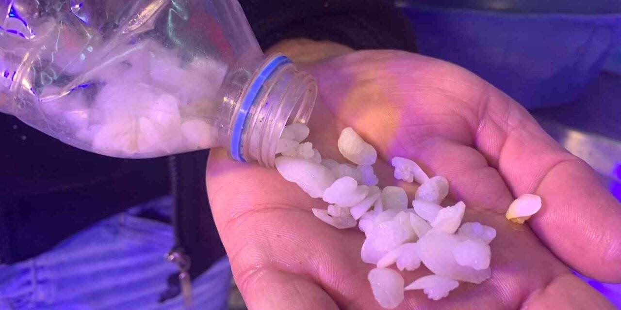 Bu taş böbrek taşını düşürüyor