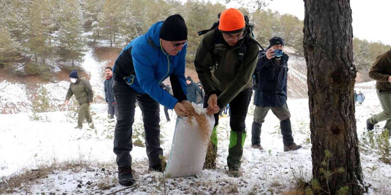 Başkan yaban hayvanlarını unutmadı, kendi eliyle doğaya yem bıraktı