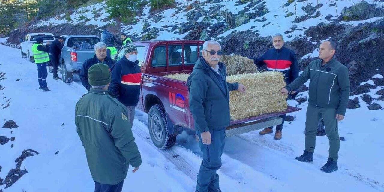 Osmaniye’de yaban hayvanlarına yem desteği