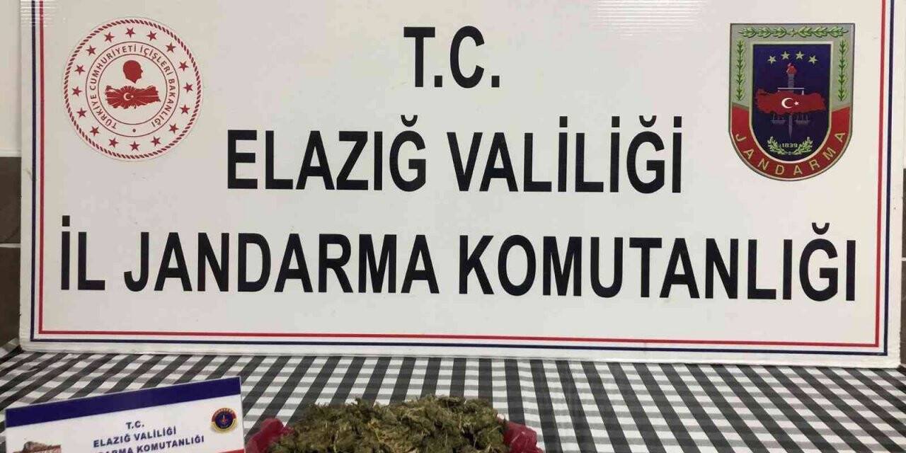 Elazığ’da uyuşturucu operasyonu: 1 gözaltı