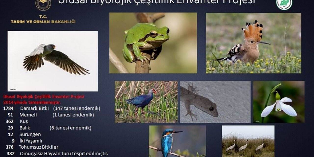 154 endemik bitki ve hayvan türü tespit edildi