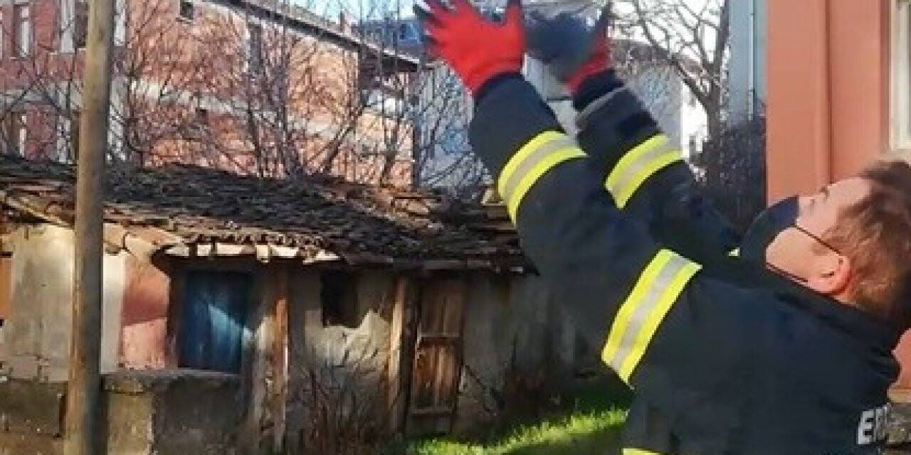 Bacada mahsur kalan güvercini itfaiye kurtardı