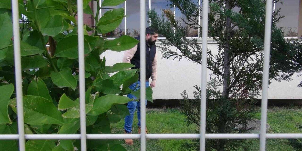 Sedefnur Çağlar’ın sır düşüşü