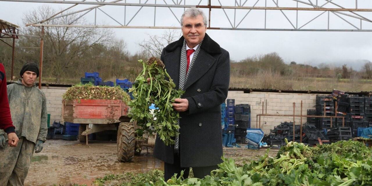 Sakarya tarımına ivme katacak projede sona gelindi