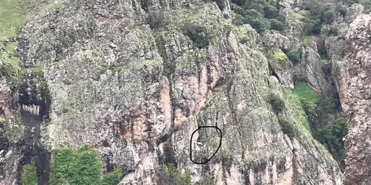İzmir’de jandarmadan yürek ısıtan kurtarma operasyonu