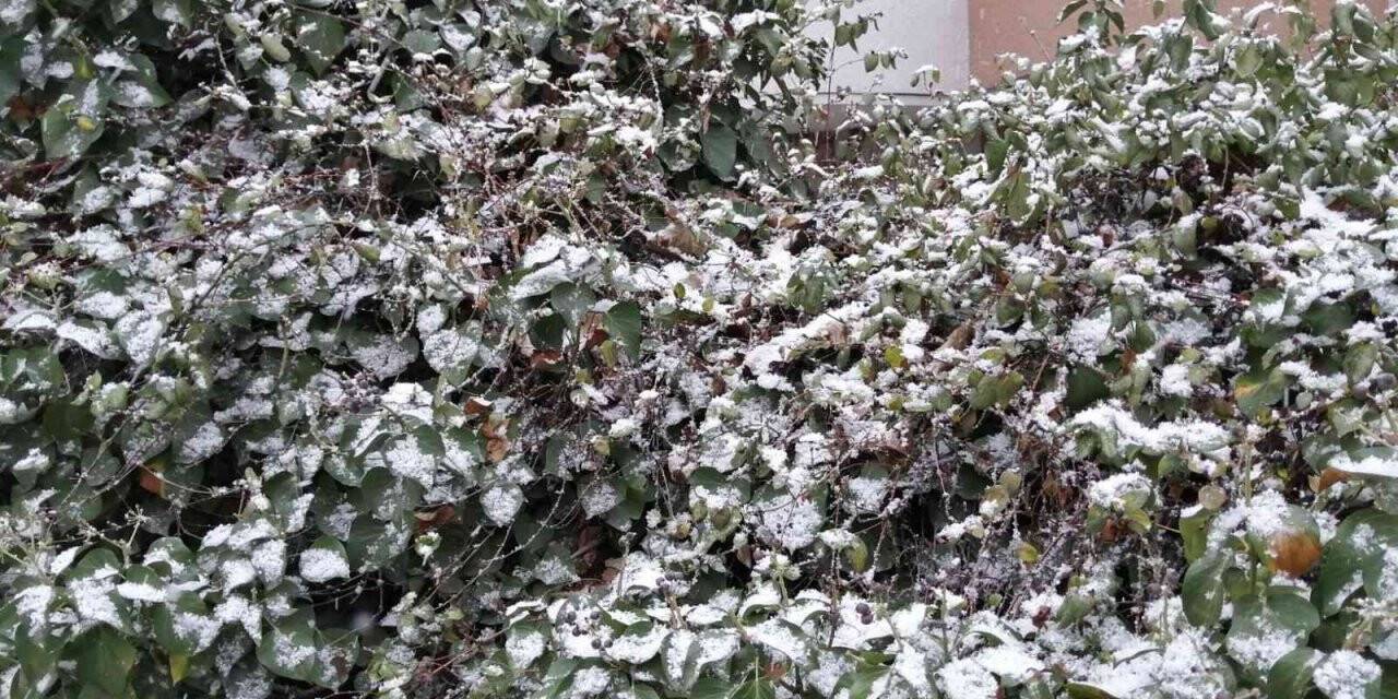 Başkent’te kar ve sis aynı anda bir arada