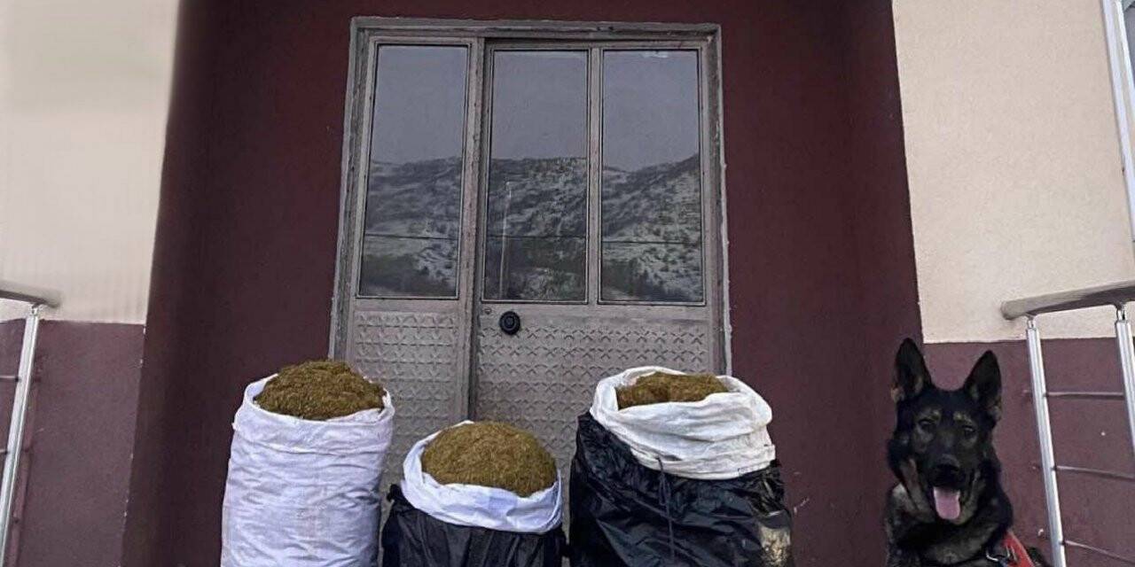 ’Yaba’ kokladı, Bingöl’de 75 kilo kıyılmış tütün ele geçirildi