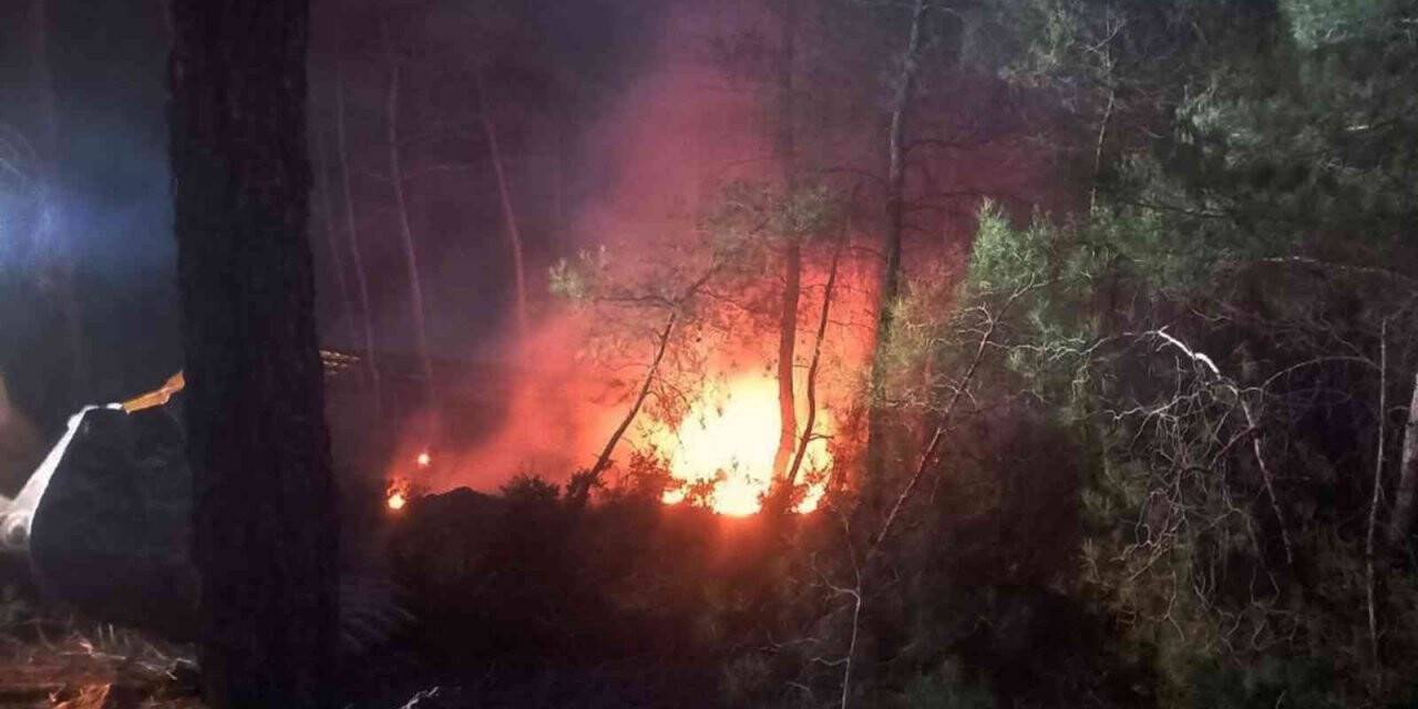 Muğla’da kış ortasında orman yangını