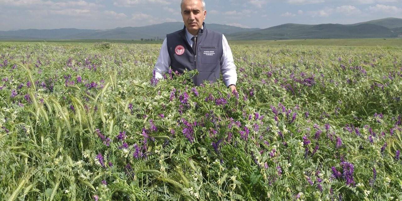 Tarımsal desteklemelerde rekor