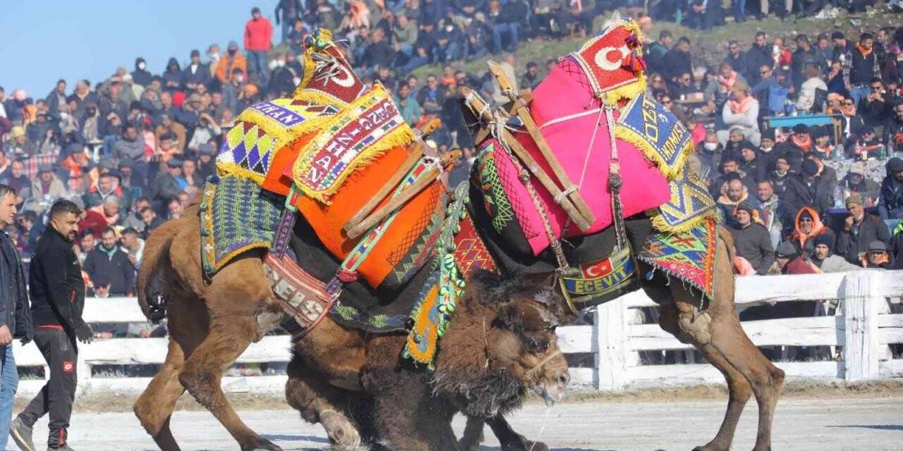Selçuk’ta "40 Yılın Güreşi"