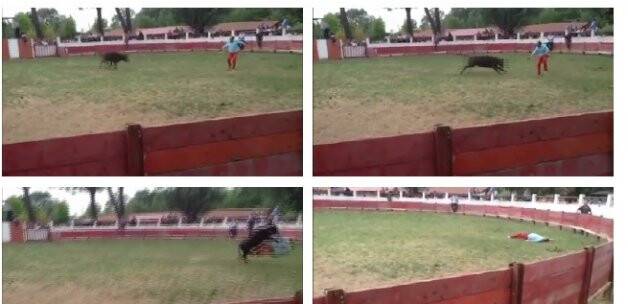 Boğayla şakanın sonu kötü bitti