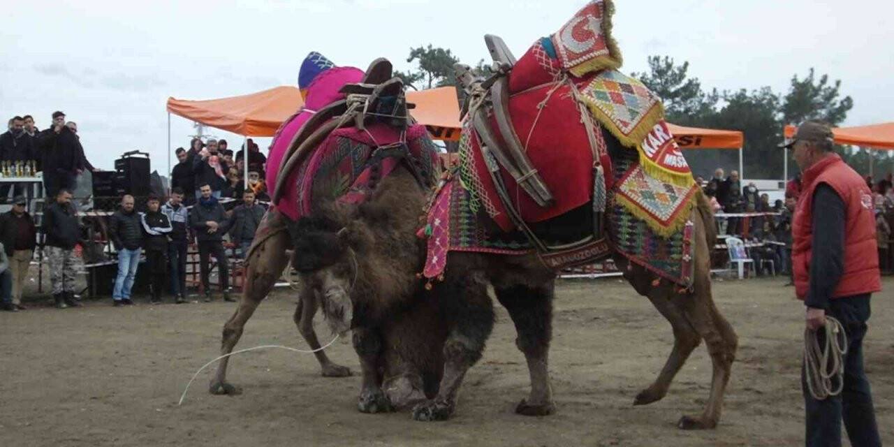 Burhaniye’de festival hazırlıkları tamamlandı