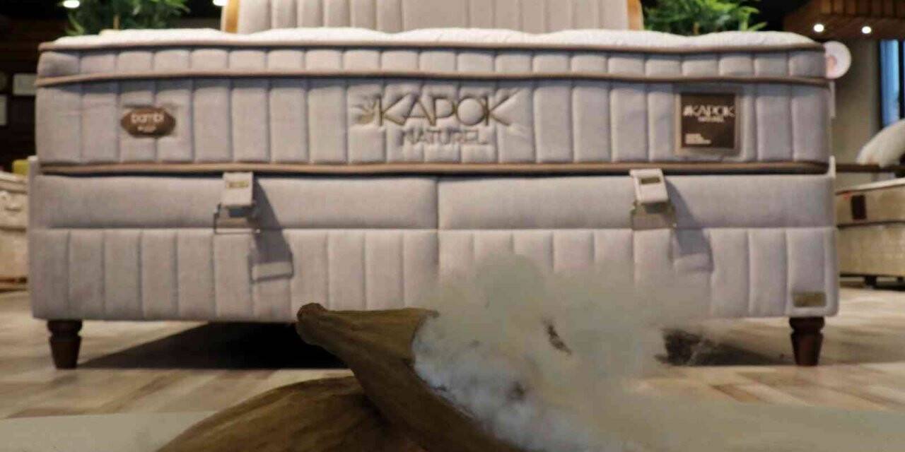 Tropik yağmur ormanlarından gelen doğallık Bambi Yatak ile buluştu