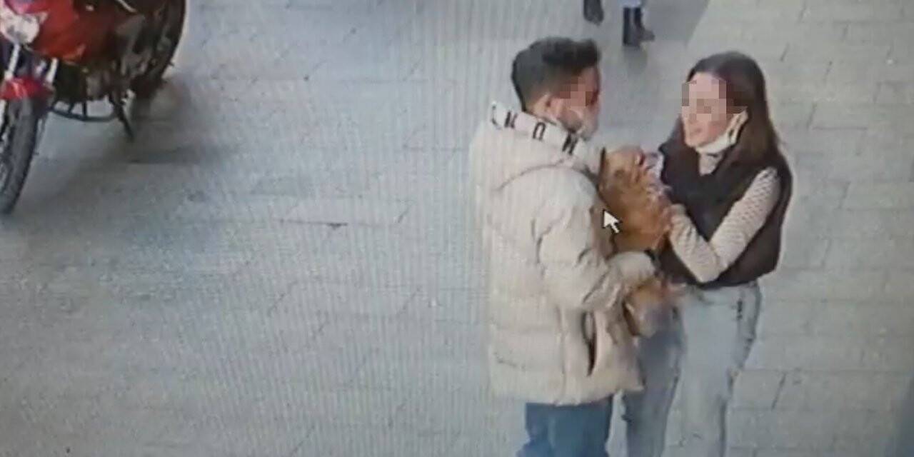 İstanbul’da ilginç köpek hırsızlığı kamerada: Sevgili çift “Badem’i” severek çaldı