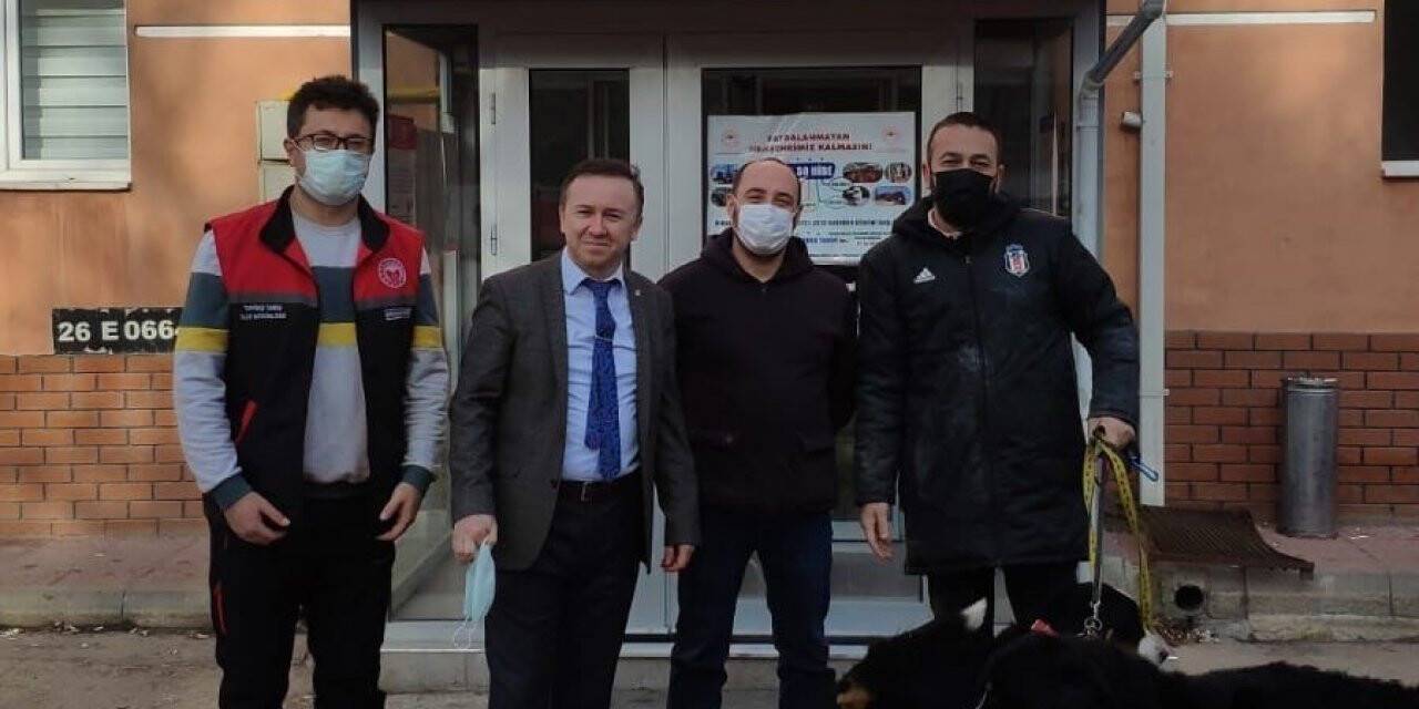 Tepebaşı’nda 7 ayda bin 123 köpek kayıt altına alındı