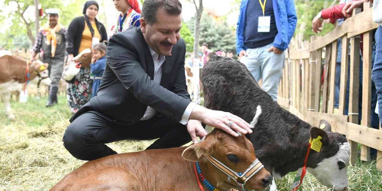 Balıkesir Büyükşehir Belediyesi’nden üreticiye 15 milyon destek