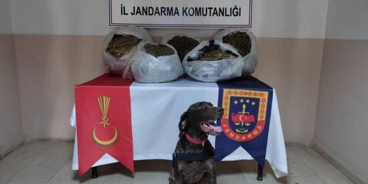 JASAT, Batman’da bir yılda 131 olayı aydınlattı