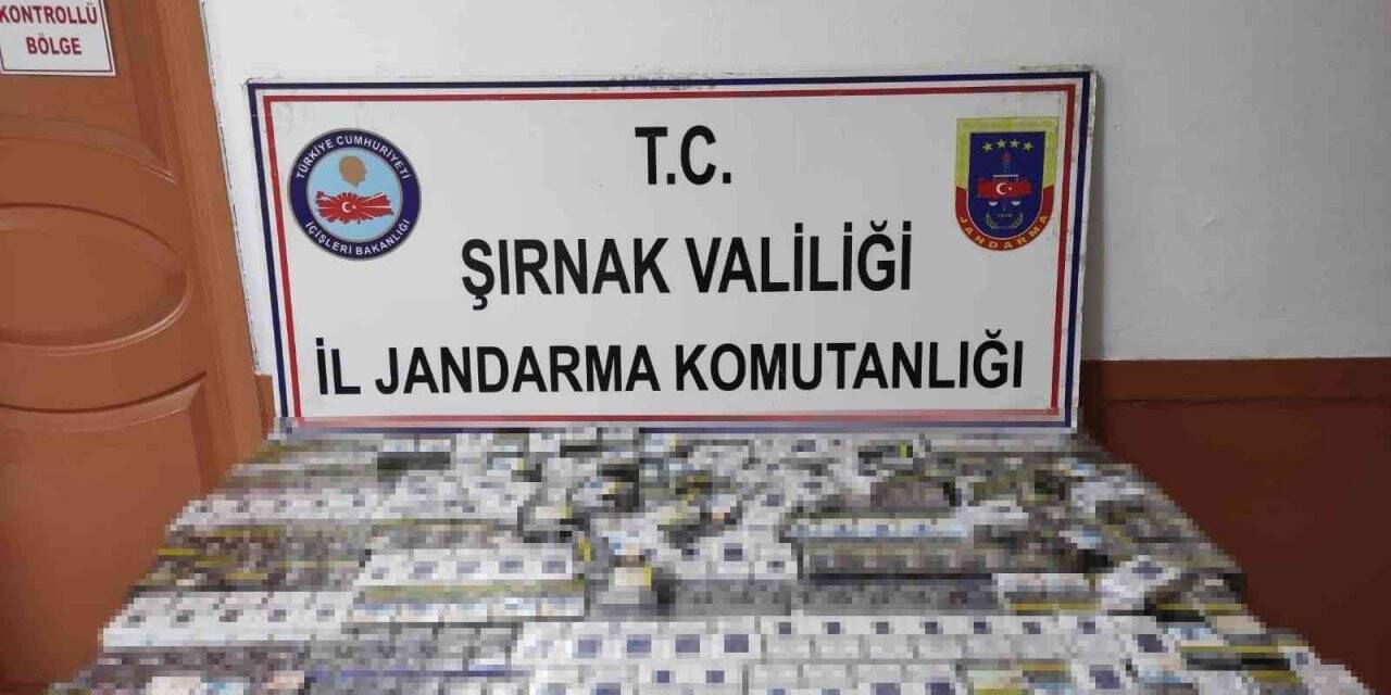 Şırnak’ta kaçakçılık operasyon: 81 gözaltı