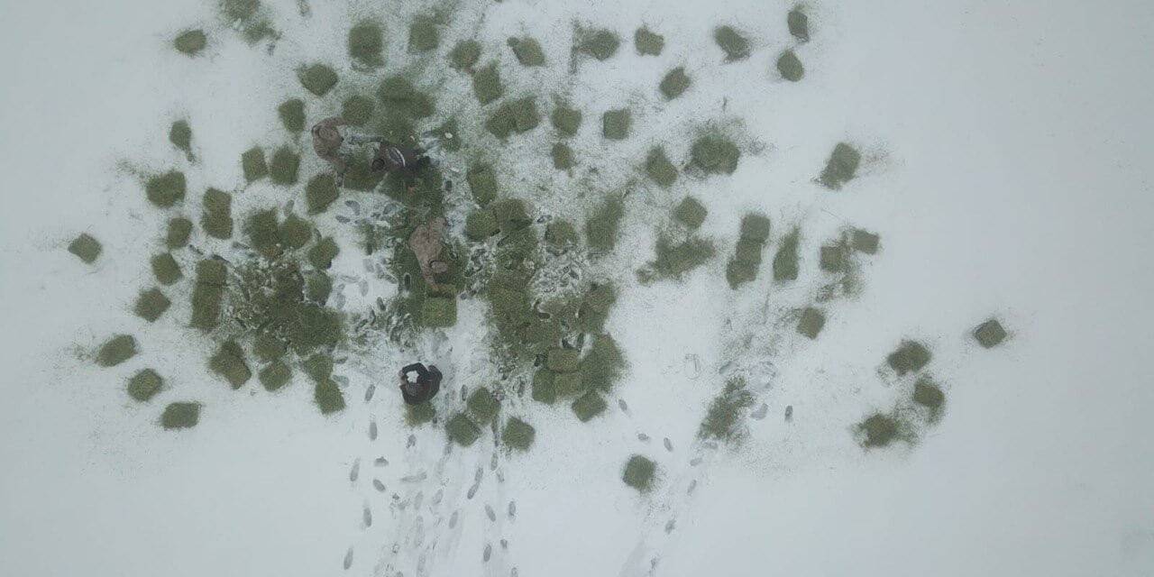 Tunceli’de yaban hayvanları için doğaya yem bırakıldı