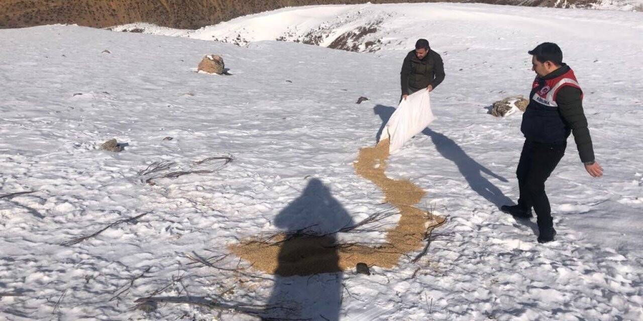 3 bin rakımlı Mereto Dağına yaban hayatı için 1 ton yem bırakıldı