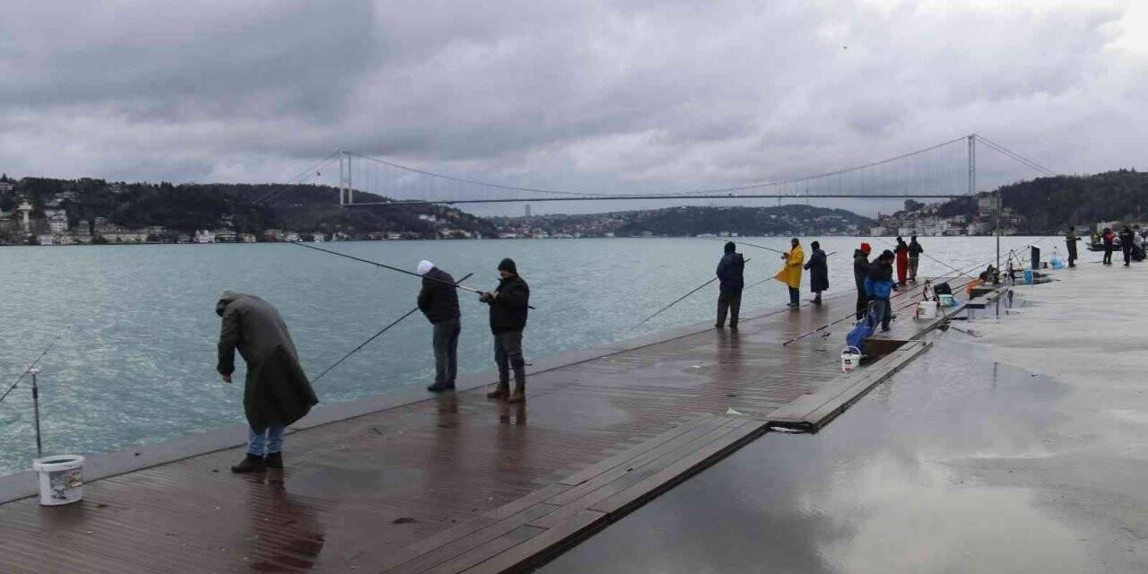 İstanbul’un hasta balıklarını görüntüledi