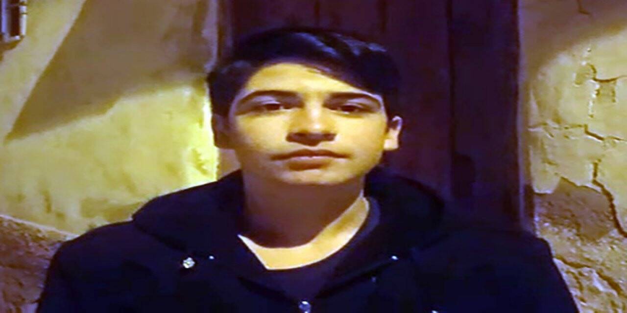 Köye inen aç kurt sürüsü köpeği parçaladı