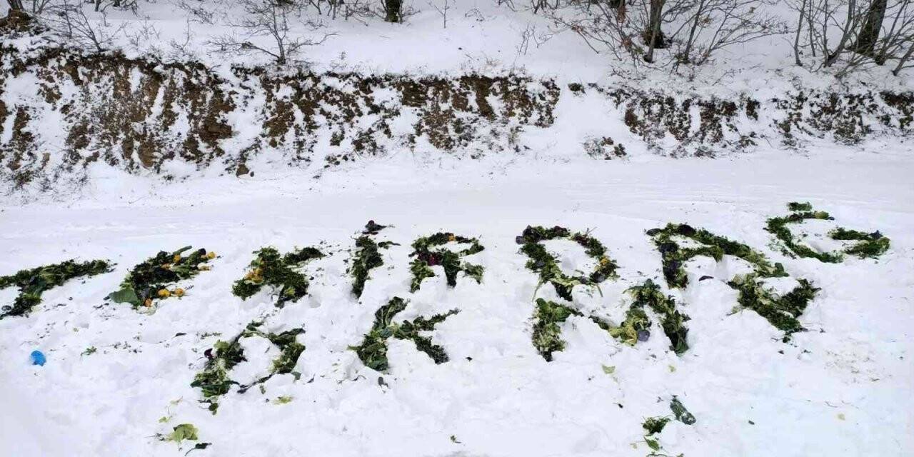 Yaban hayatı için 2 ton yem bırakıldı