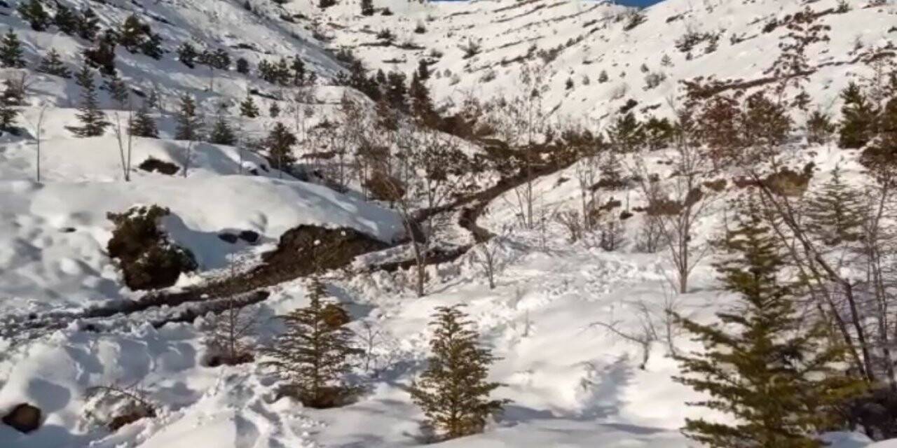 Boğarak öldürdüğü eşini boş araziye gömdü 3 yıl sonra teslim oldu