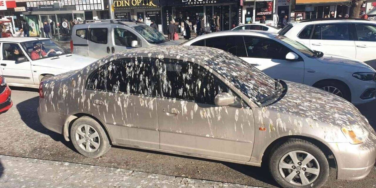 Kargaların istilası otomobili bu hale getirdi