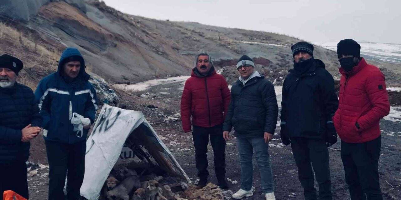 Gezginler bu kez sokak hayvanları için yürüdüler