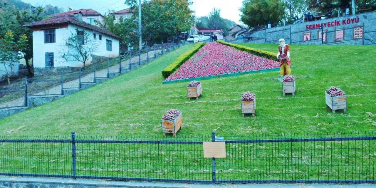 Elit mekanların gözde çileği bu yıl 550 ton üretildi