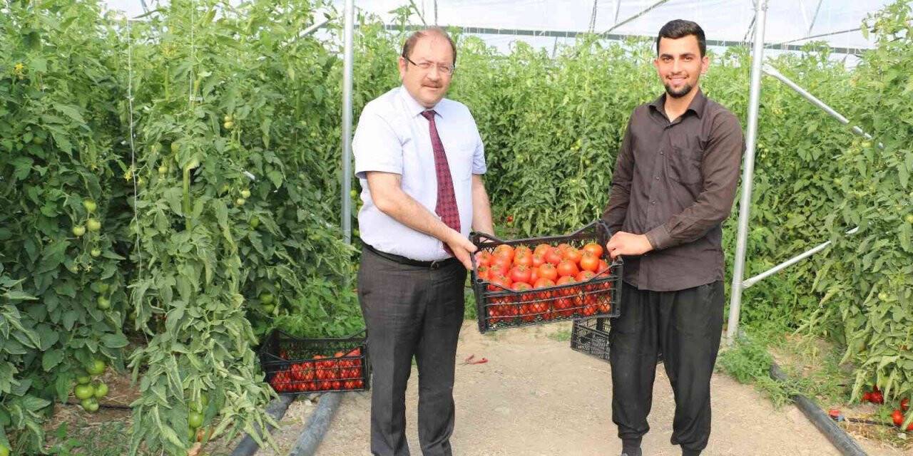 Uzman Eller Projesi başladı